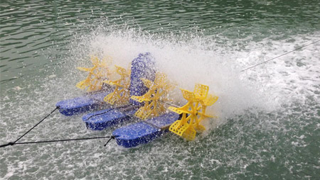 Principium aerarii vivarii vivarii