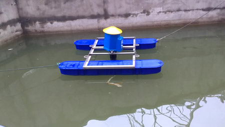 Diutius vivax vivaria vivaria aeratorum