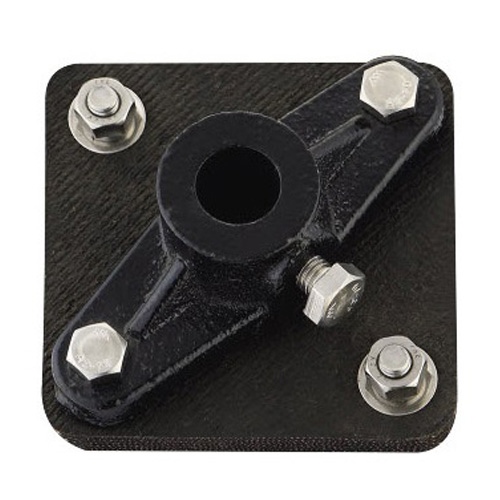 Iacta ferrum mobile felis